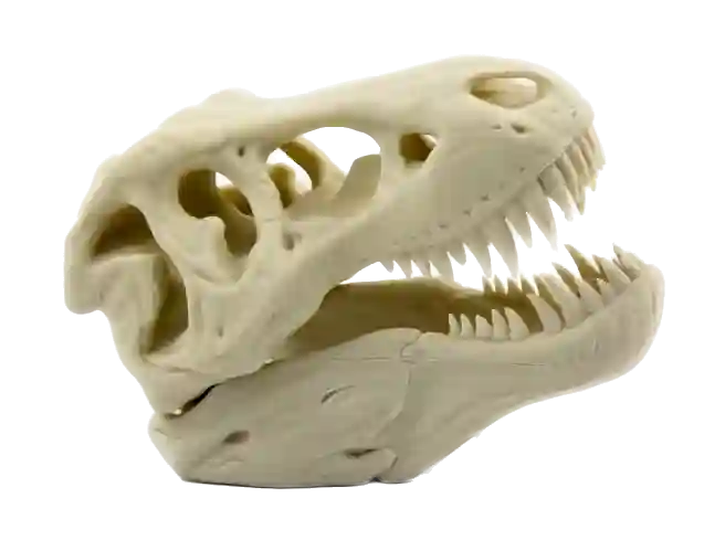 stampa 3d dinosauro