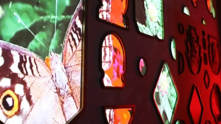 Videomapping immersivo "Le jardin" per il Museo dei Visconti_Belgioioso