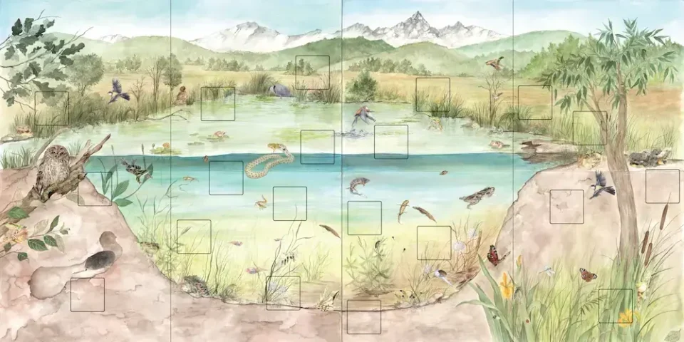 Parete interattiva che riproduce un'ambientazione naturalistica per l'Oasi Cascina LAI. La parete &egrave; composta da piccoli sportellini che una volta scoperti forniscono informazioni sull'ecosistema o sull'animale raffigurato. A fianco, un piccolo pulsante permette di ascoltare un contenuto audio.